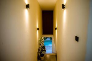 a hallway with a plant in a room with lights at JeKa Escotel & Loft in Seminyak