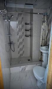 a bathroom with a shower and a toilet and a sink at Chashma in Ishkashim