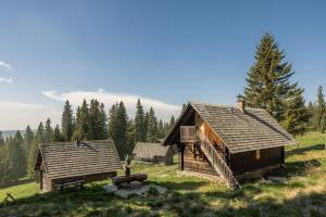 two log homes on a hill with trees in the background at Ochsenwaldhütte in Teschrepl