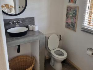 a bathroom with a toilet and a sink and a mirror at Oudam Cottage in Carnarvon