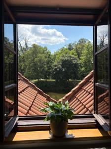 a plant sitting on a window sill looking out at a roof at Apartmán Železná panna in České Budějovice