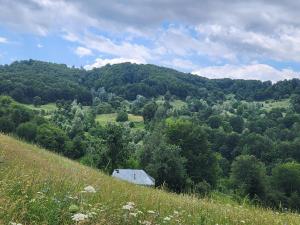 a hill with a house in the middle of a field at Cabana Maria in Olăreşti