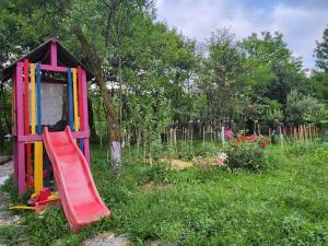 a playground with a slide in a garden at Cabana Maria in Olăreşti