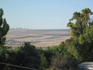 a view of a field from a hill with trees at נוף יבנאל in Yavneʼel