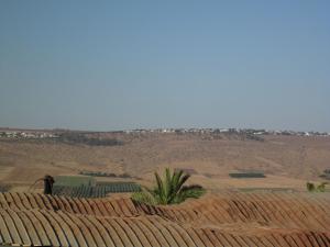a field with a palm tree in the middle of it at נוף יבנאל in Yavneʼel