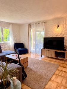 a living room with a large flat screen tv at Kuca za odmor SONATA in Biserske Kuće