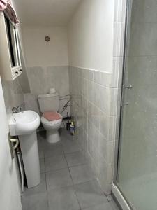 a small bathroom with a toilet and a sink at myappart - FORBACH in Forbach