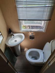 a small bathroom with a toilet and a sink at Winnie the Mobile Home in Galway