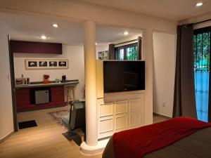 a bedroom with a column with a flat screen tv at Casa Puerto Siete8 in Mexico City