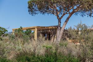 a stone house in the desert with a tree at La maison de simon in Pietrosella