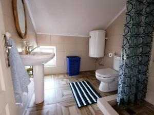 a bathroom with a sink and a toilet at Villa Lila in Dolno Dupeni +32 photos