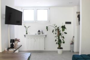 a living room with a tv and a plant at Glycine House in Varese