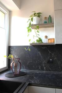 a black kitchen counter with a vase on a plate at Glycine House in Varese +21 photos
