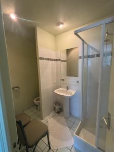 a small bathroom with a sink and a shower at Hôtel Bar Restaurant La Terrasse in Larche