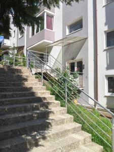 a set of stairs in front of a building at Stejarului Apartment in Floreşti