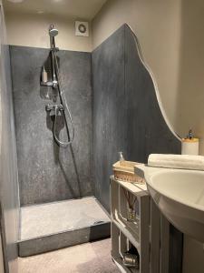 a bathroom with a shower and a sink at Authentique gite de village in Hotton +29 photos