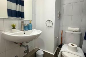 a bathroom with a sink and a toilet at Vista Laguna Oriente By Andes Plus in Concepción +26 photos