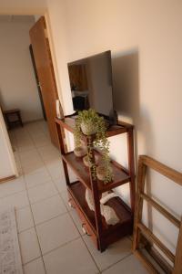a room with a television and a plant on a shelf at Melvillas in Louis Trichardt +9 photos