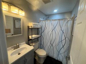 a bathroom with a sink and a toilet and a shower at Cherry Cottage in Lake City