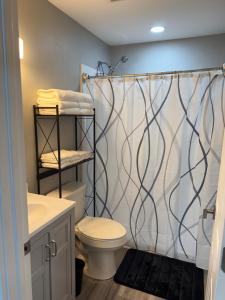 a bathroom with a toilet and a shower curtain at Cherry Cottage in Lake City
