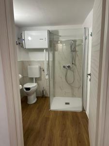 a bathroom with a shower and a toilet at Da Noi Panoramic Guest Stay Camera Rifugio in Cuorgnè