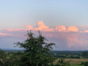 a tree in a field with a cloudy sky at Magic of Avalon in Glastonbury