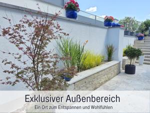 an outdoor garden with potted plants on a building at Die Perle am Teich ist Ihre exklusive Ferienwohnung mit Klimaanlage und großer Terrasse im Harz in Ballenstedt