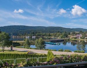 a view of a lake with mountains in the background at Appartement Sunset, 28qm in Schluchsee