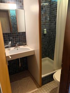 a bathroom with a sink and a shower and a toilet at Beautiful chalet with exceptional views, very quiet in Gryon +54 photos