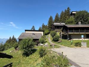 a house on the side of a hill with a driveway at Beautiful chalet with exceptional views, very quiet in Gryon