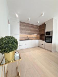 a kitchen with white cabinets and a potted plant at Anna Lakeside Apartman in Gárdony