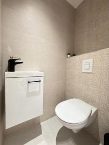 a bathroom with a white toilet and a sink at Anna Lakeside Apartman in Gárdony