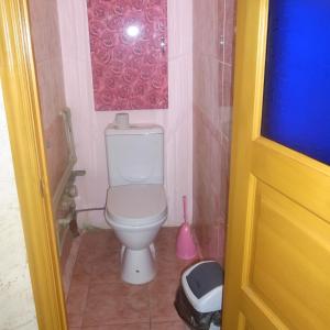 a bathroom with a white toilet in a room at Apartments Lenina-Mendeleevskiy in Tula