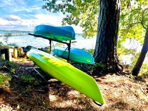 a group of kayaks sitting under an umbrella next to a tree at Scenic, Spacious Riverside Retreat Ropeyarn in Deltaville