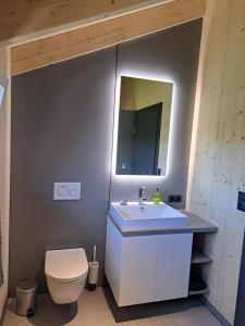 a bathroom with a white sink and a toilet at Ferienhaus Brunner in Höchst +32 photos