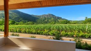 a room with a view of a field of crops at Homestay Sadikin Scar Reef Beach Jelenga in Maluk