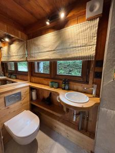 a bathroom with a toilet and a sink at Mazot les Tines in Chamonix +14 photos