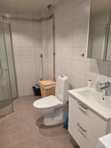 a bathroom with a toilet and a sink and a shower at 3A Centralt Boende i Dala-Floda! in Djuras +26 photos