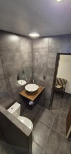 a bathroom with a sink and a toilet and a mirror at Batilana 2 in Neuquén