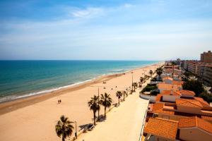 a view of a beach with palm trees and the ocean at Apartamentos Guillem in Playa de Miramar