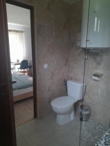 a bathroom with a toilet and a bed at Cabana Andrea in Arpaşu de Sus +65 photos