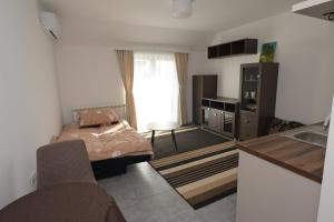 a small room with a bed and a kitchen at Apartmani Rosa in Rača