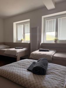 a bedroom with two beds and two windows at Apartmán Špičák in Špičák