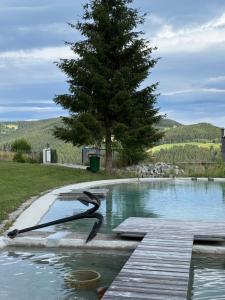 a pool of water with a tree in the background at Berghütte Waldheimat in Ratten