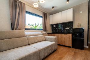 a living room with a couch and a kitchen at Aparthome Tatra in Biały Dunajec