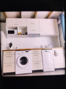 a kitchen with a washing machine and a microwave at Studio Ti Bambou in La Trinité +8 photos