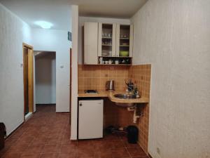 a small kitchen with a sink and a counter at Apartmani Medo in Risan