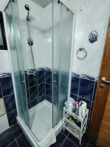 a shower with a glass door in a bathroom at Apartmani Medo in Risan