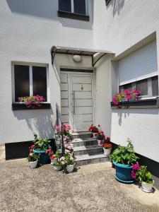 a bunch of potted plants on the steps of a house at Kuća JEKA in Vrnjačka Banja