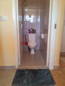 a bathroom with a toilet and a shower at BnB in Homa Bay